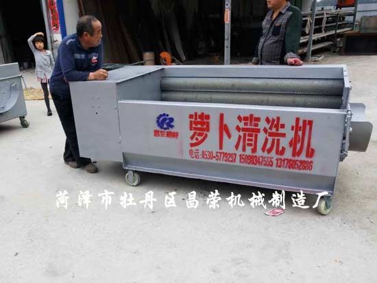 胡蘿卜清洗機(jī)